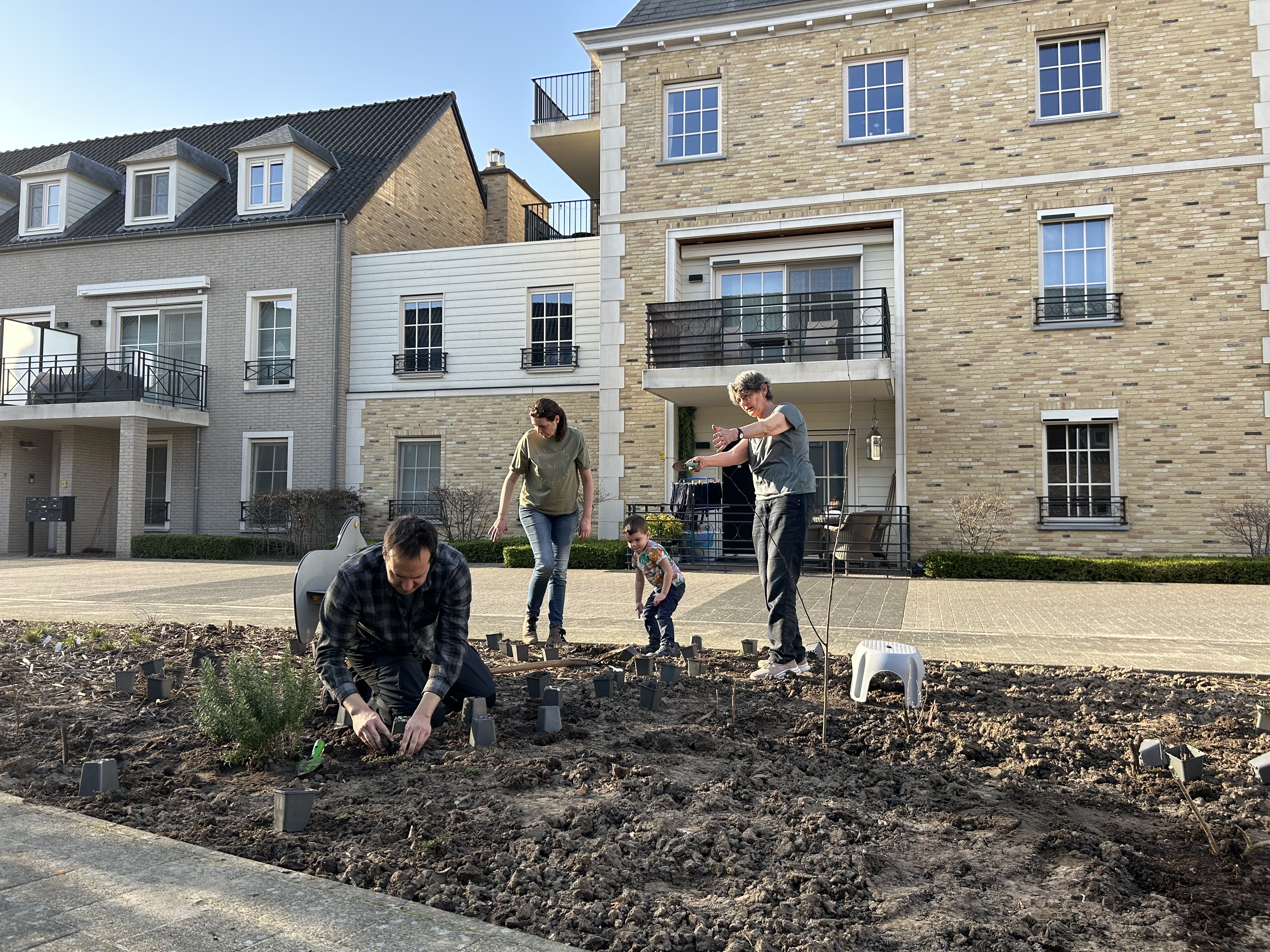 mensen planten plantjes op hun plein