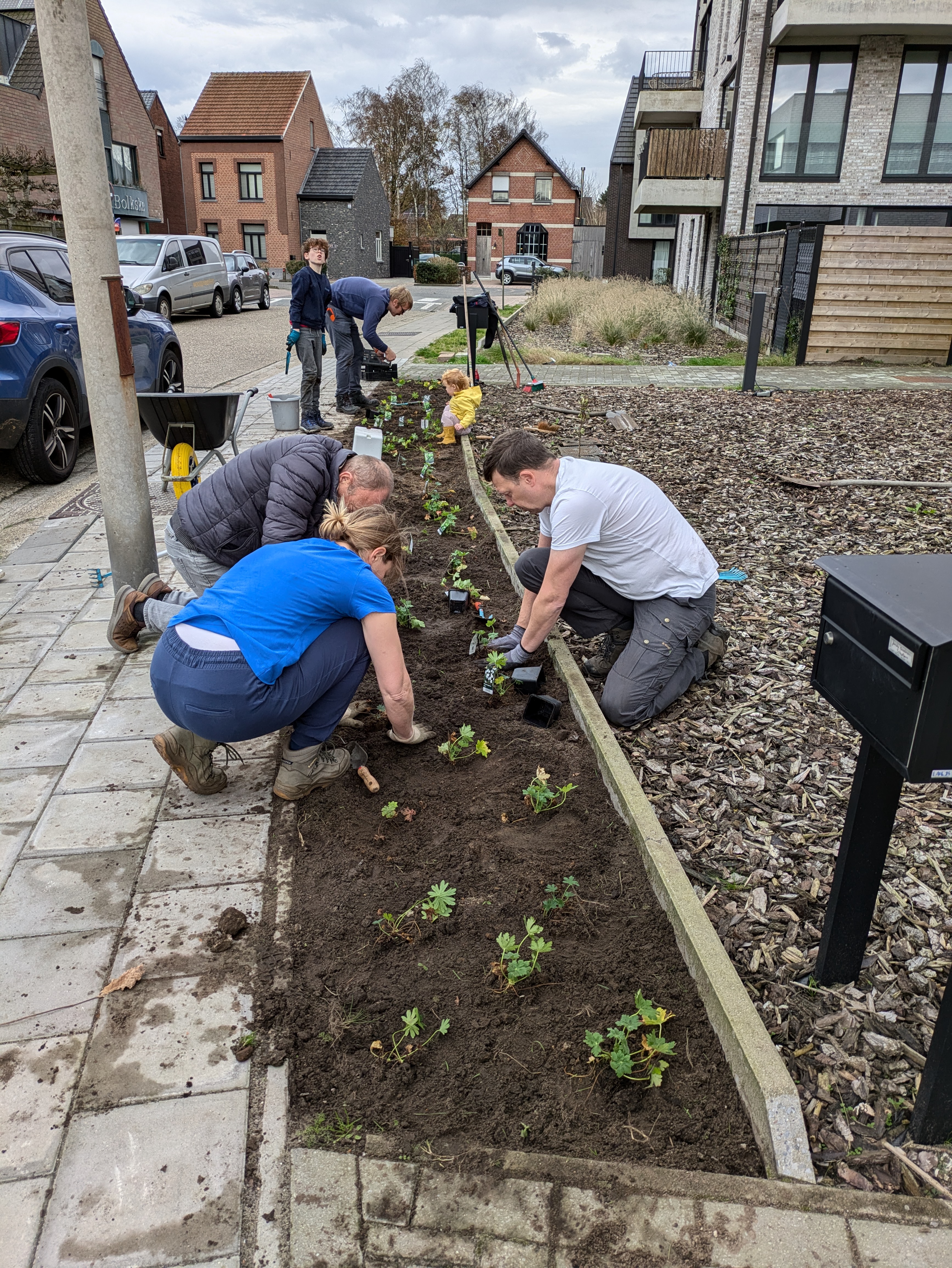 Mensen planten samen plantjes in een berm