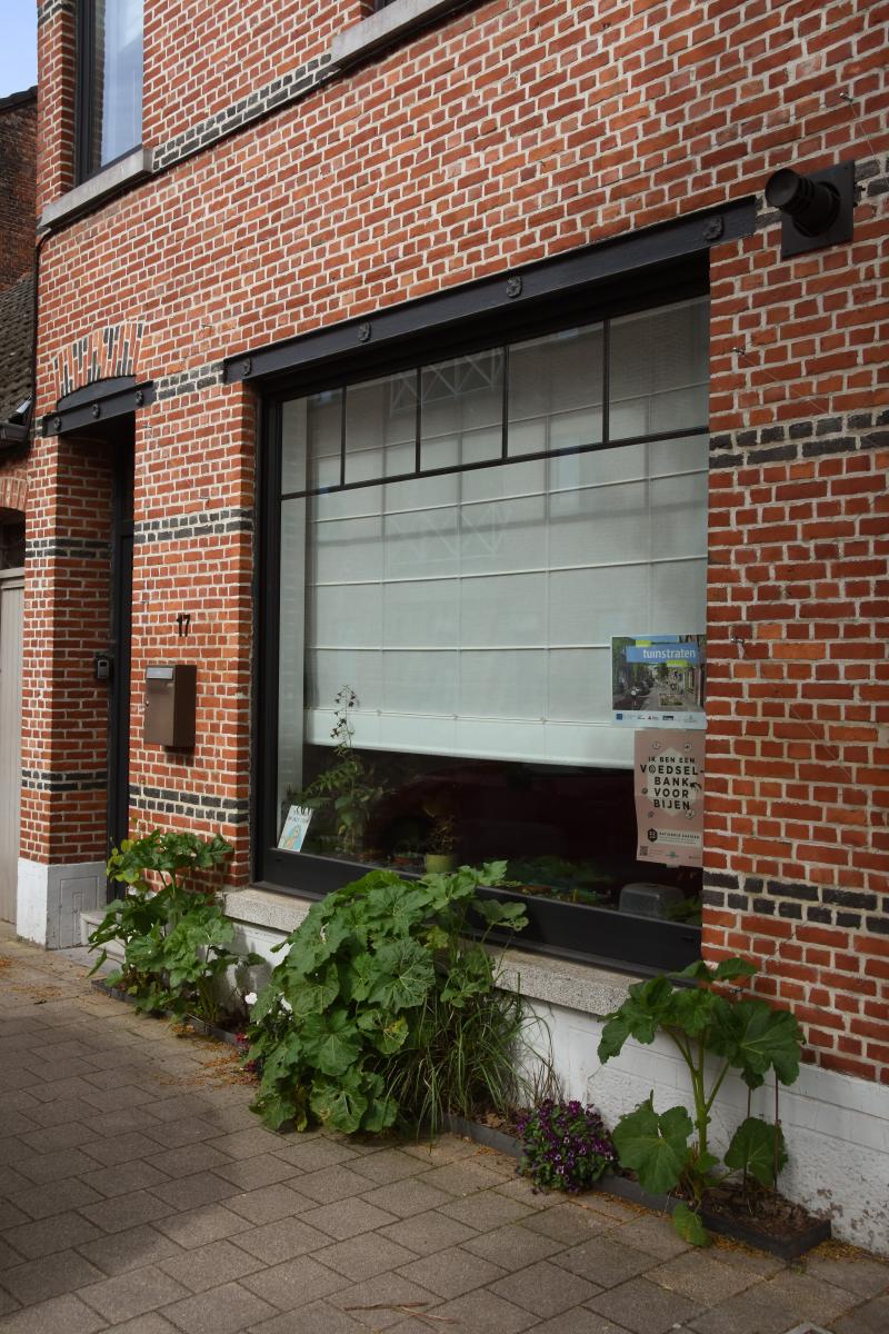 Geveltuin in de Zandstraat in Balen