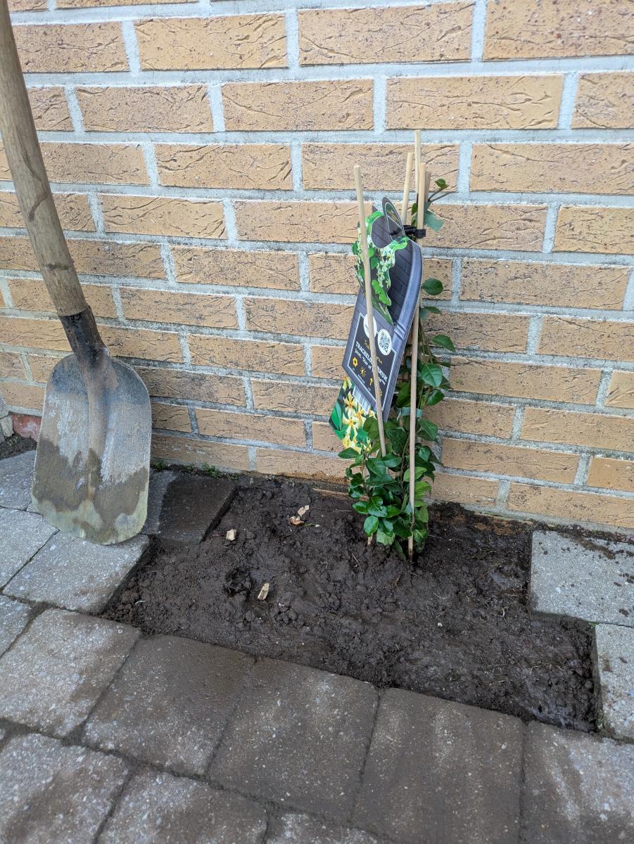 Geveltuin in de nieuwstraat in Hulshout