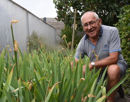 Man hurkt achter planten