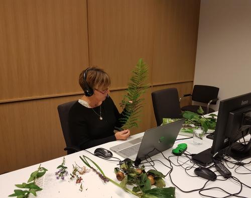 vrouw met planten achter laptop