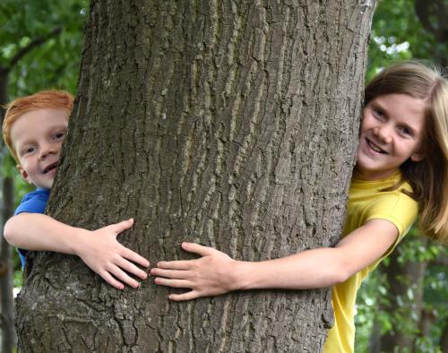 Kinderen knuffelen een boom