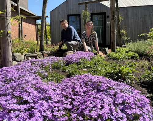 Groene voortuin met paarse bloemen