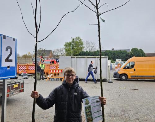 Jongen houdt twee bomen vast